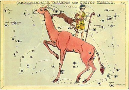 La costellazione della Giraffa