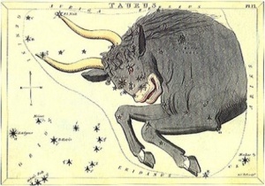 La costellazione del Toro