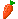 Carotina