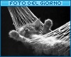 Foto del giorno