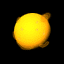 Sole