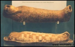 Sarcofago e mummia di falco