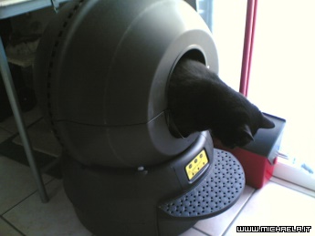 Litter-Robot