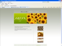 Arona srl