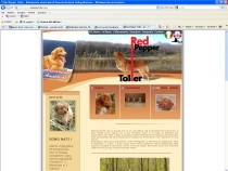 Red Pepper Toller